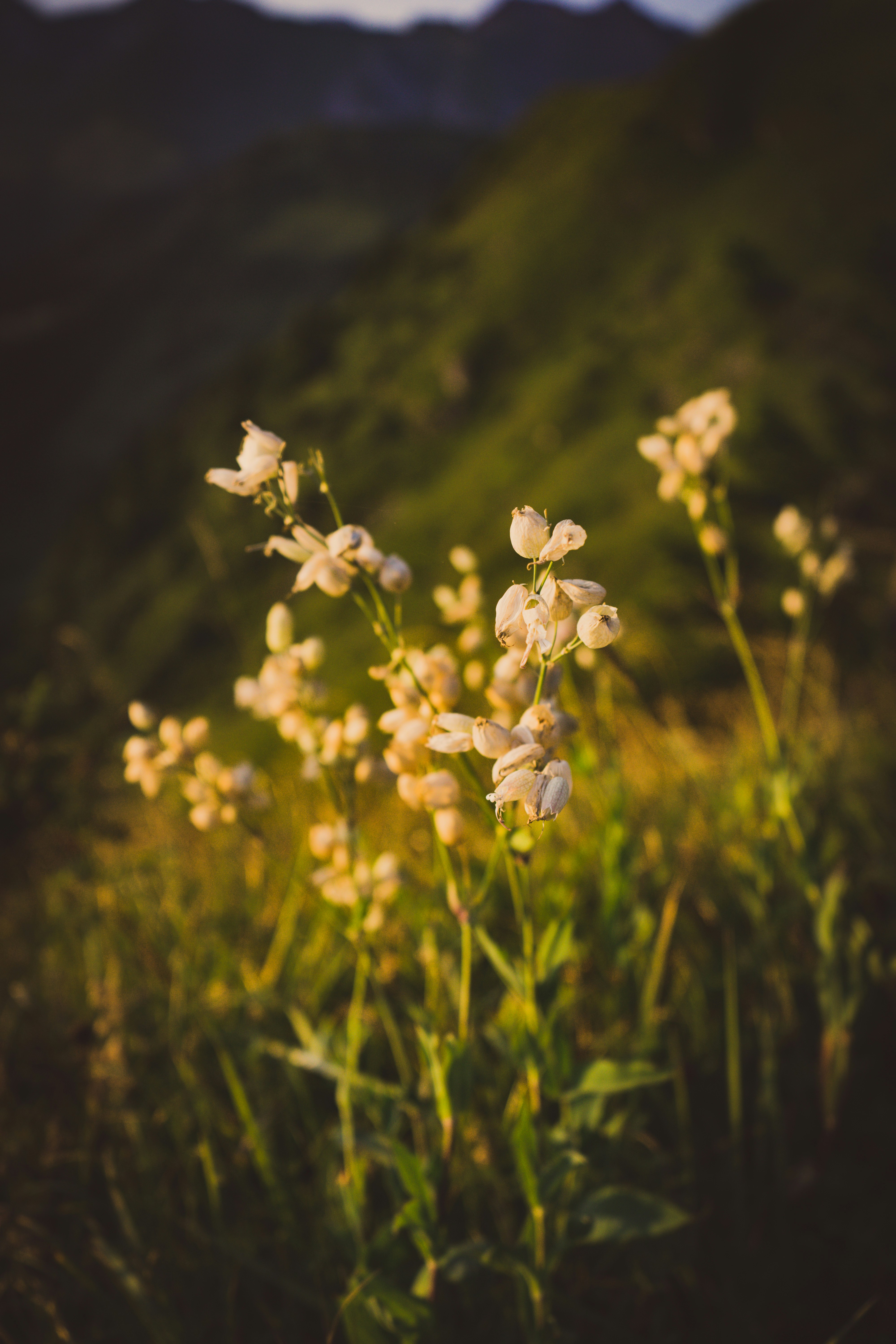 Photo by theverticalstory