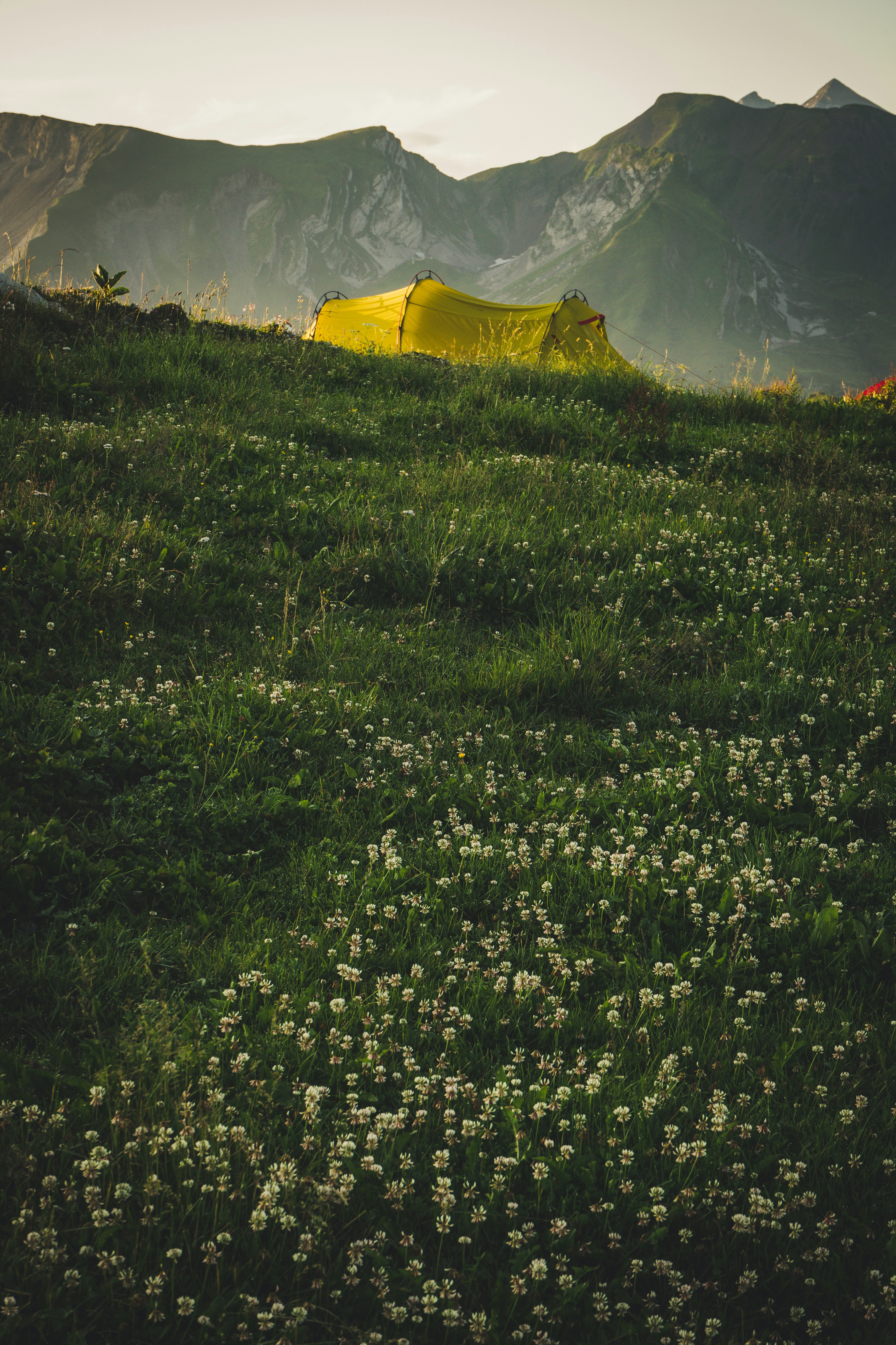 Photo by theverticalstory