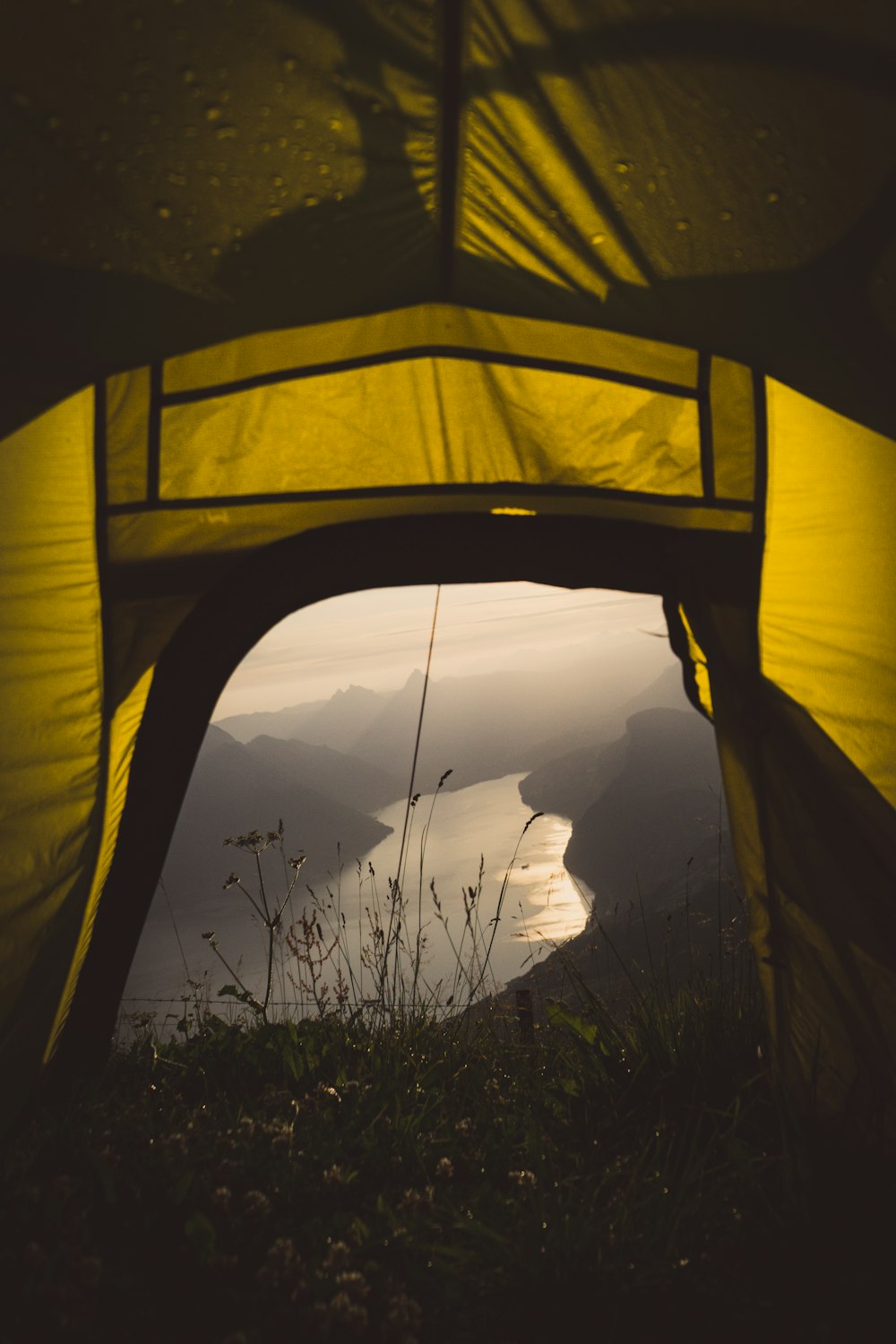 yellow tent