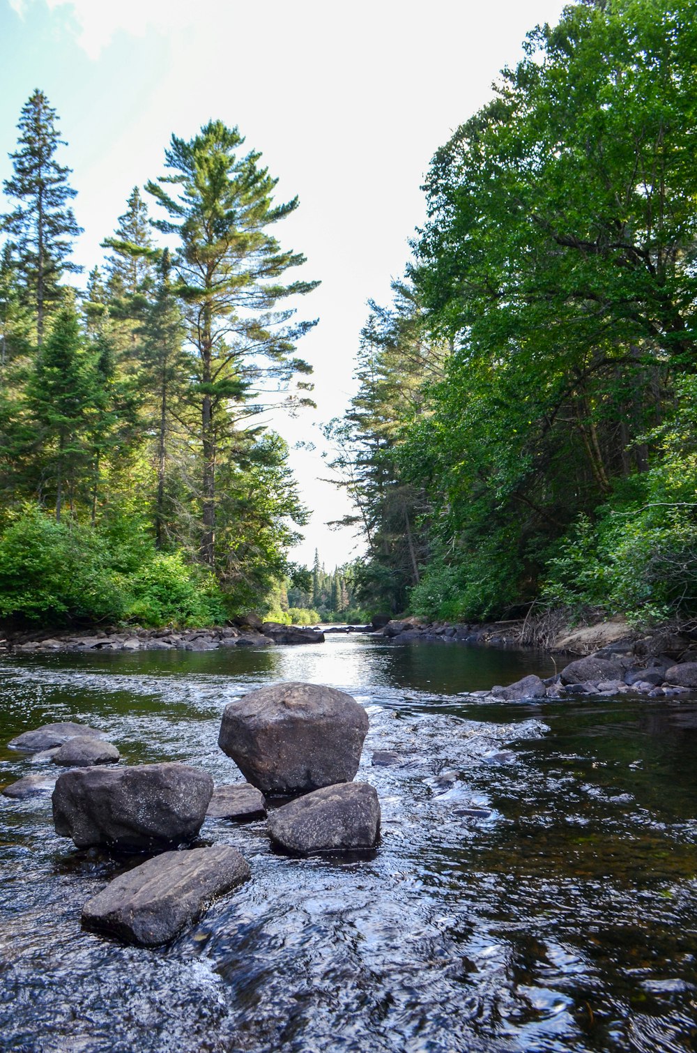 lake with rocks surrounded with tall and green trees during daytime