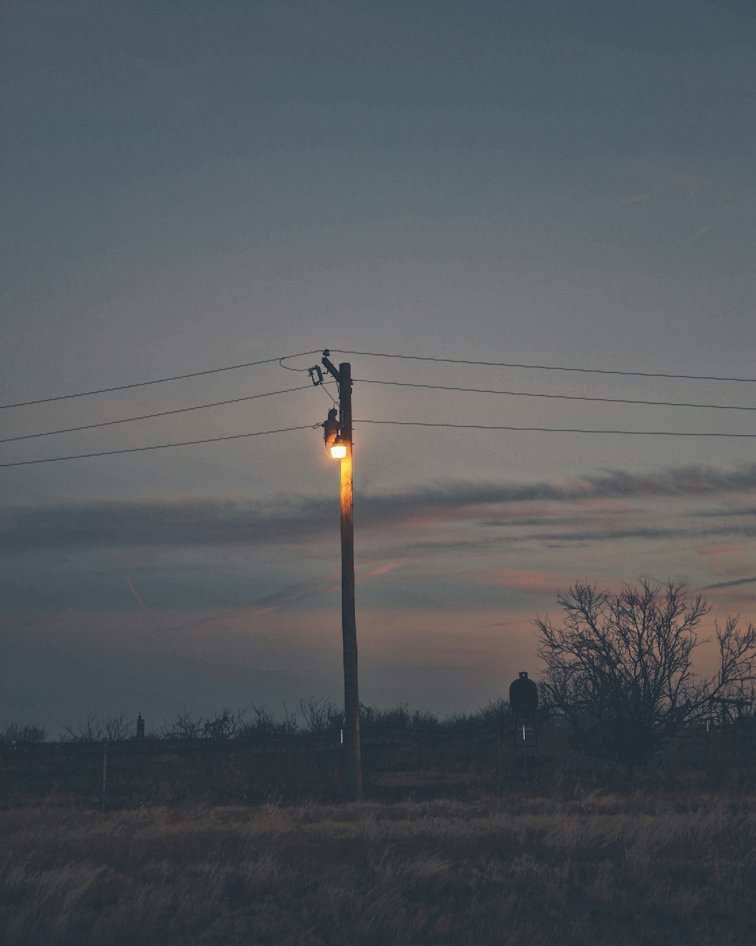 lighted street light in green field during night time