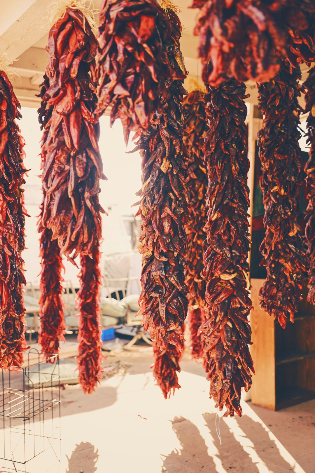 dried chilies hanging on wall