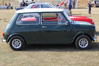 A classic dark green Mini Cooper is parked on grass. The car has a white roof and several colorful stickers on the rear side window. In the background, other vintage cars are visible alongside people standing near a tented area.