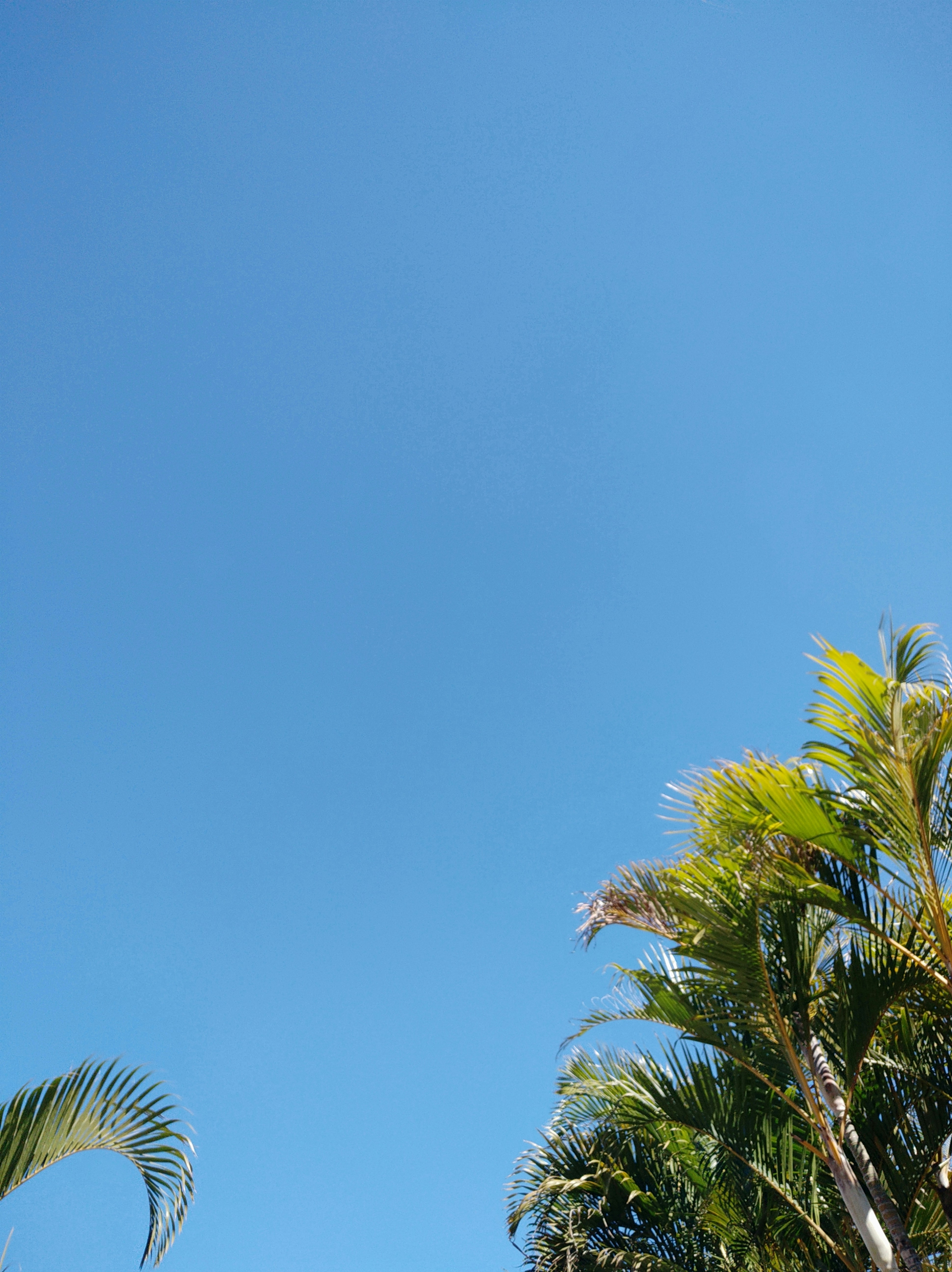 Photo by silvanaeivanoff