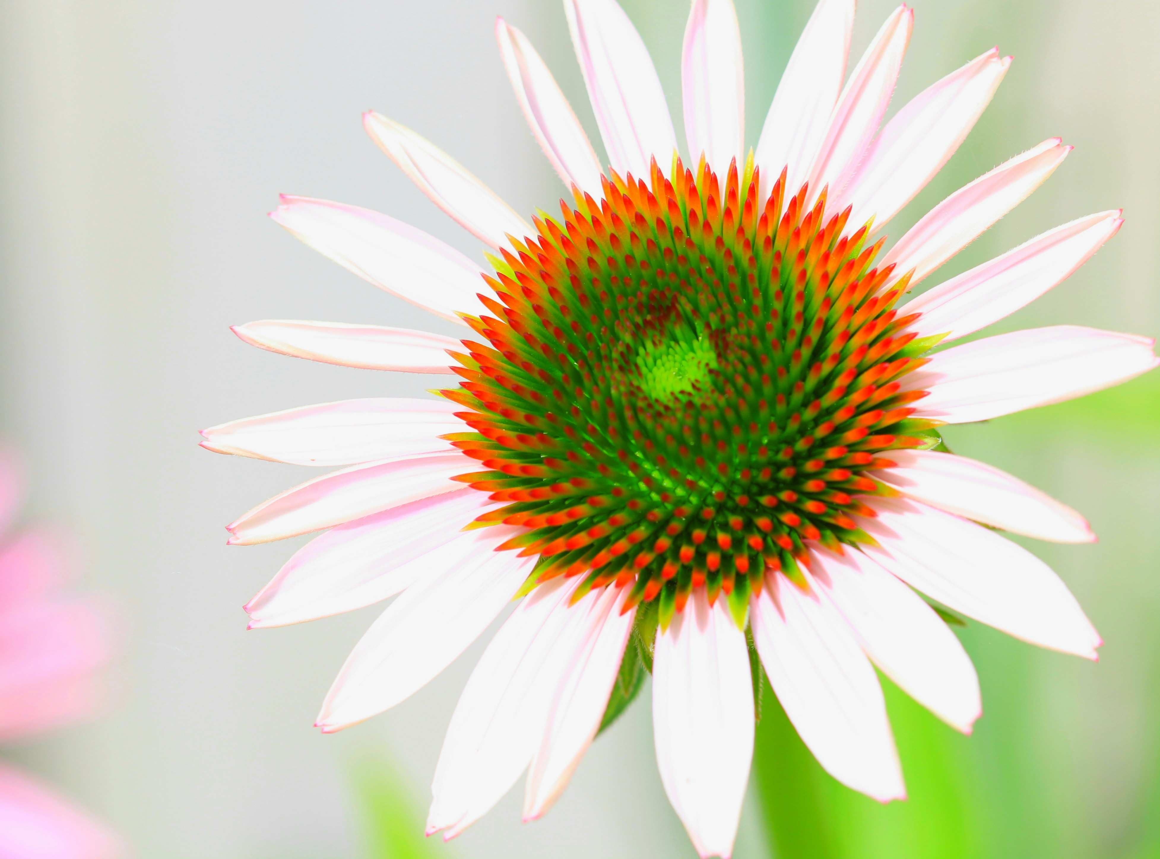 Photo by richardworks