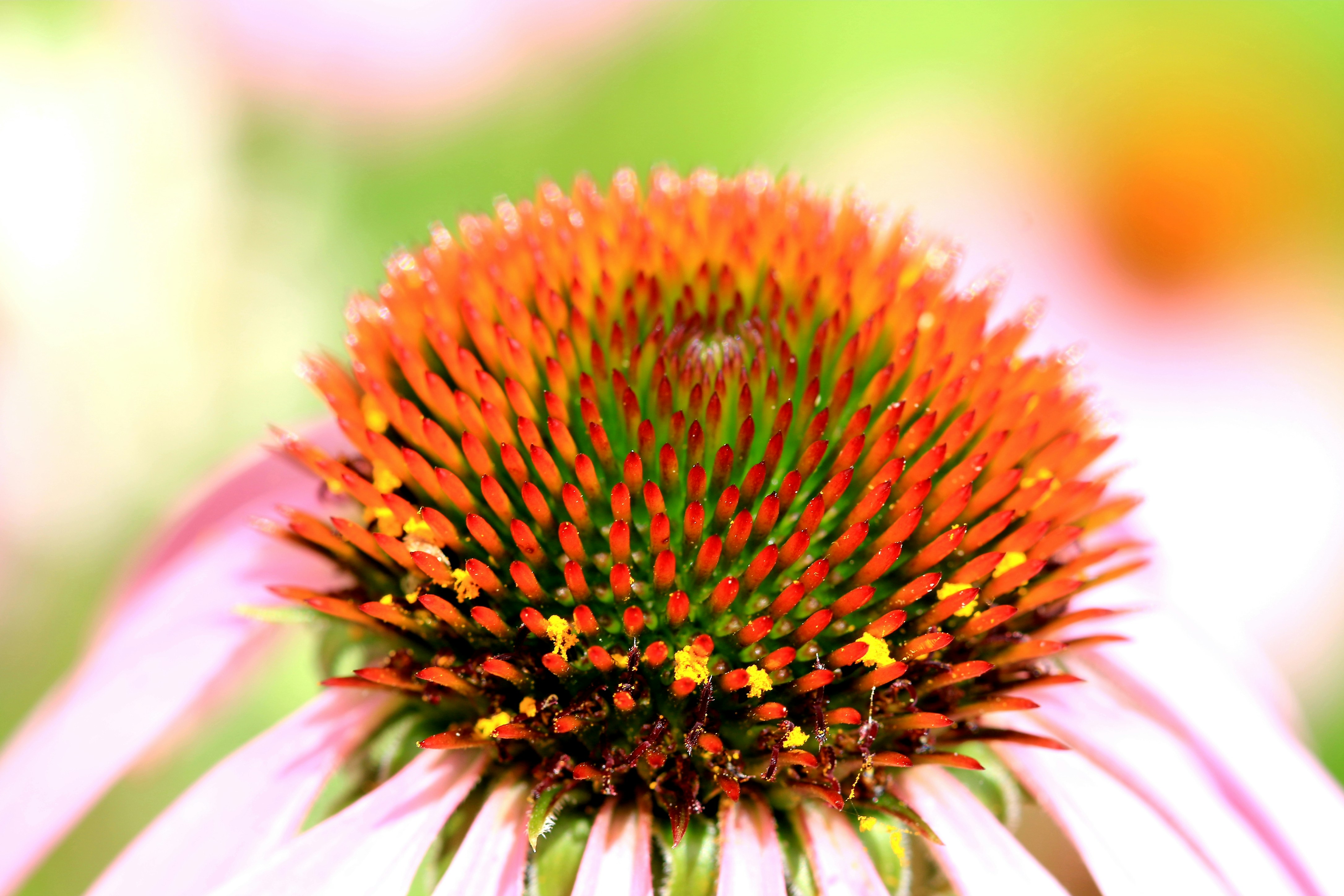 Photo by richardworks