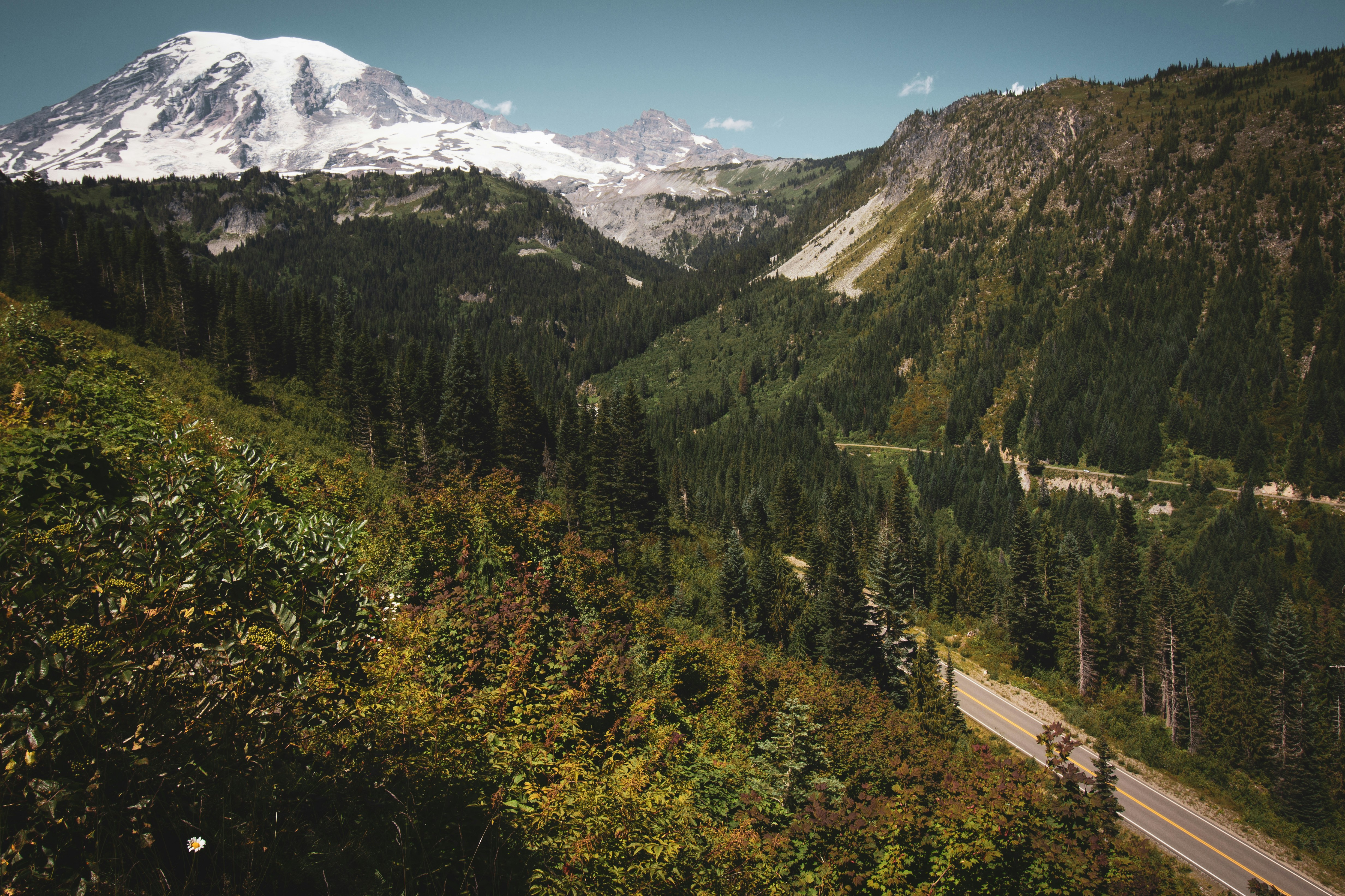 Photo by rstone_design