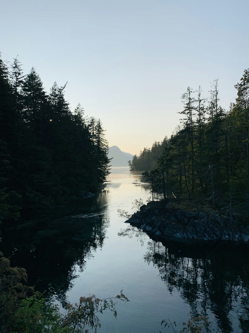 body of water between trees at daytime