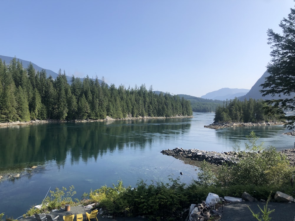 lake in forest