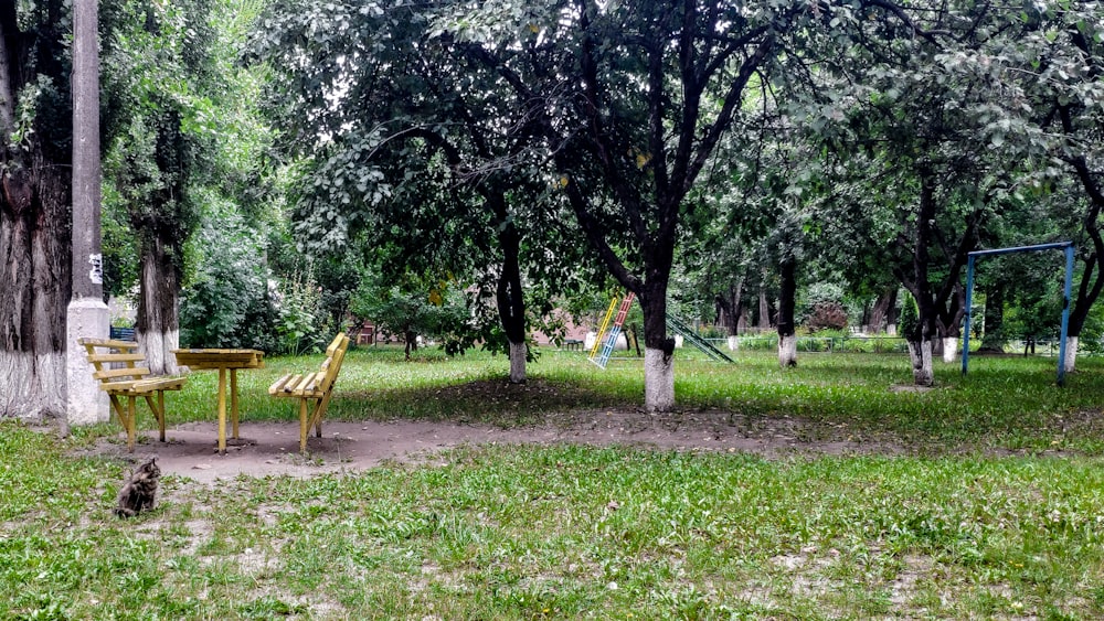 brown bench beside trees