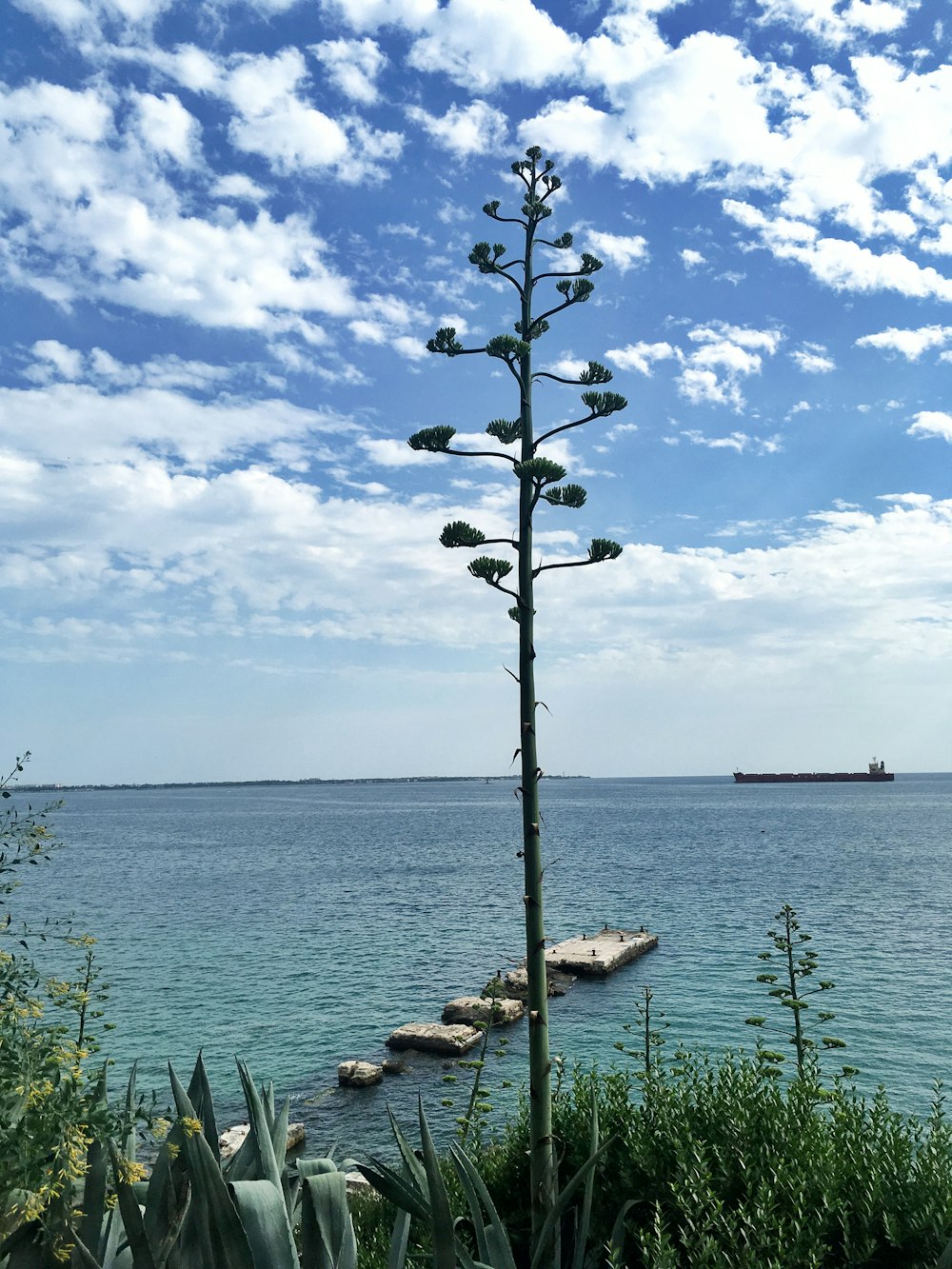 Holzsteg tagsüber