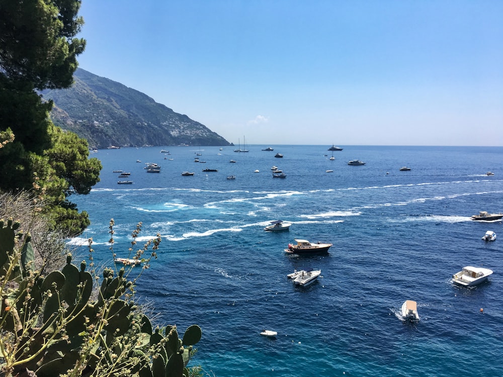 boats in sea