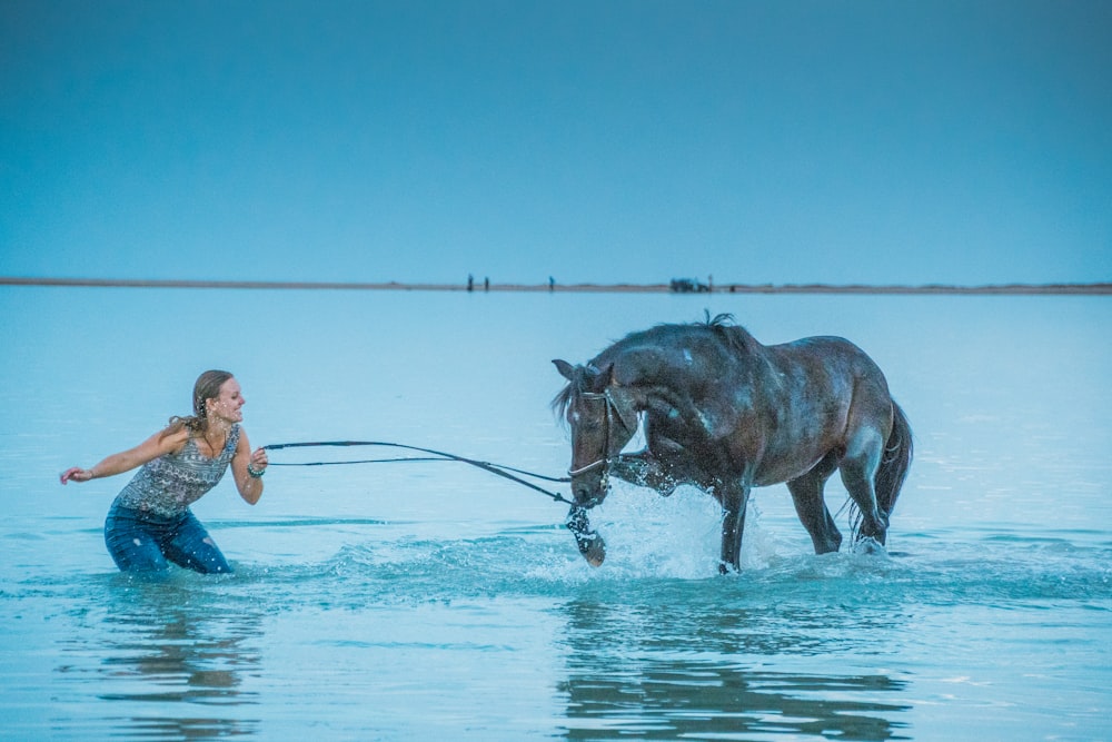 woman pulling brown horse