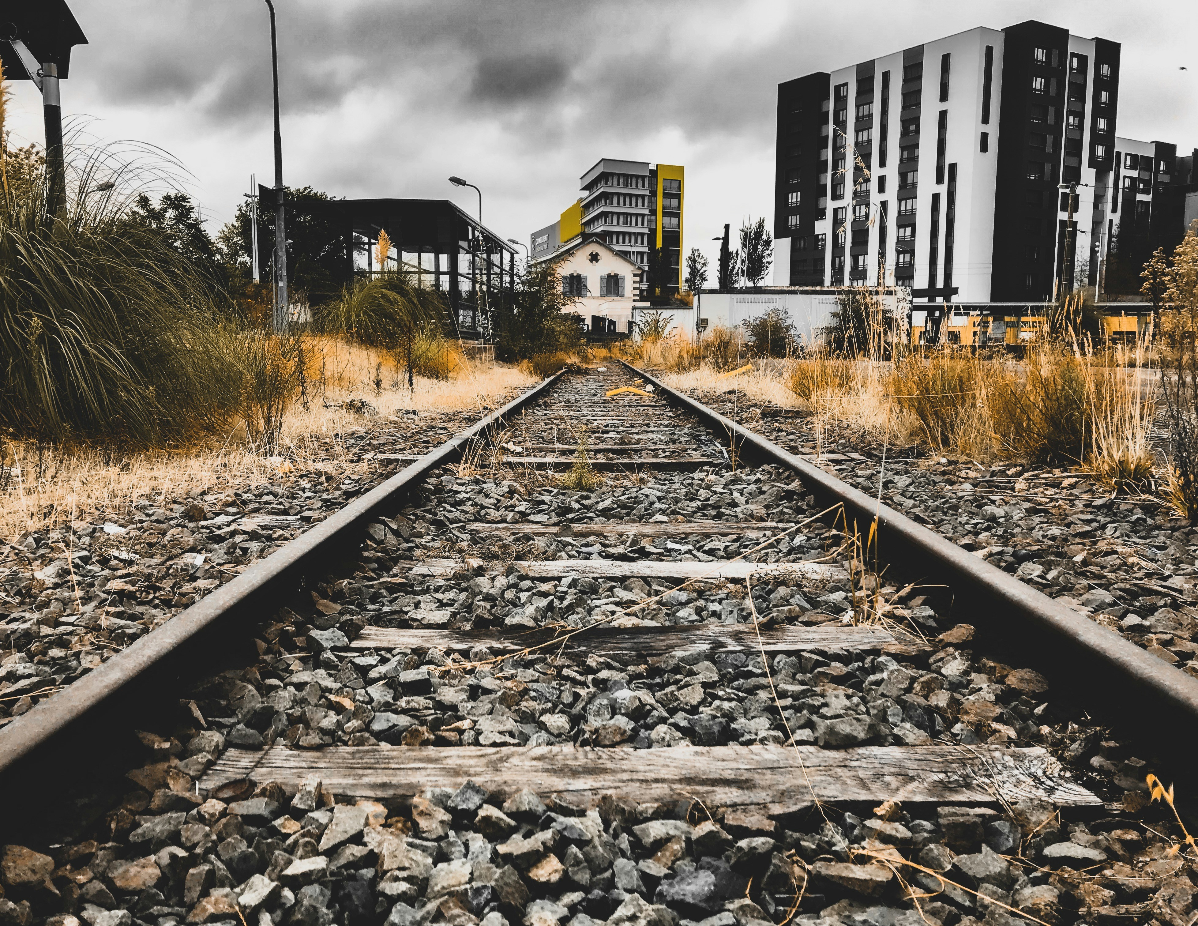 Photo by notevenarose