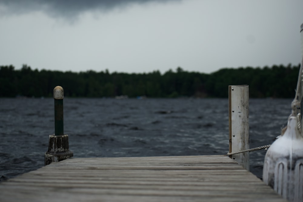 brown wooden dock during daytime