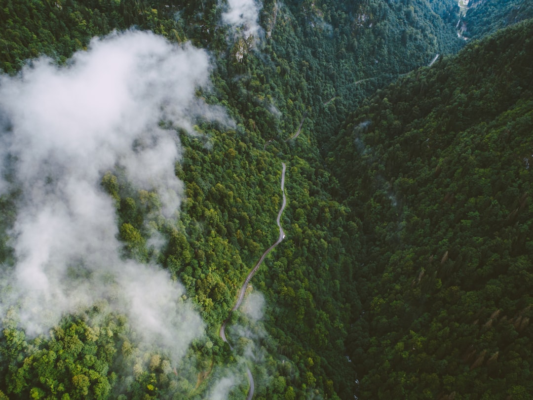 aerial view of mountain