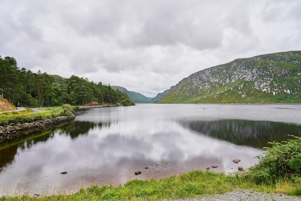 calm body of water and trees during daytime