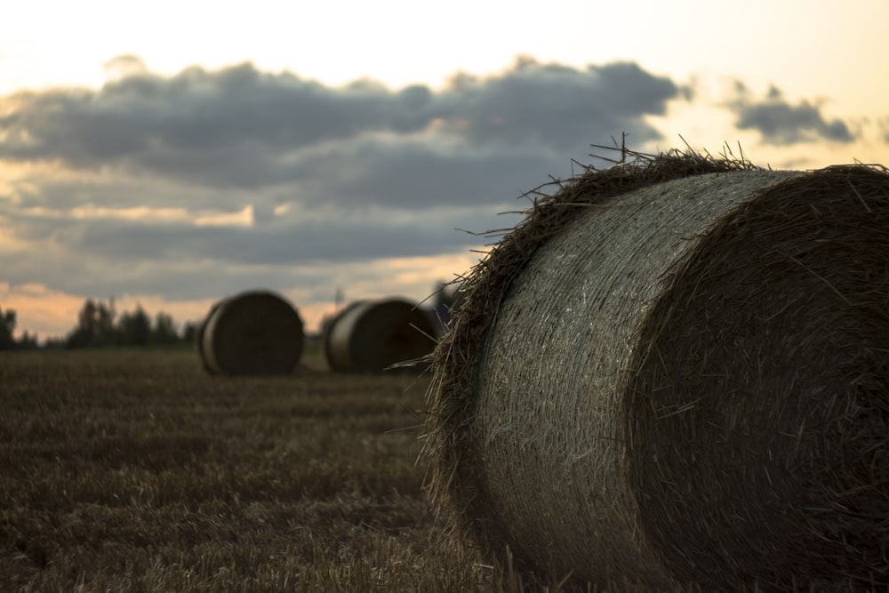 shallow focus photography of rolled hay