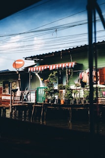 A rustic riverside scene featuring a wooden house with exterior walls painted in shades of green and white. The roof is covered with corrugated metal sheets, and a series of potted plants line the railing of a small porch. Above the house, a tangle of electrical wires crisscross the sky. Brightly colored clothes hang drying on lines, and a red satellite dish is attached to the side of the building.