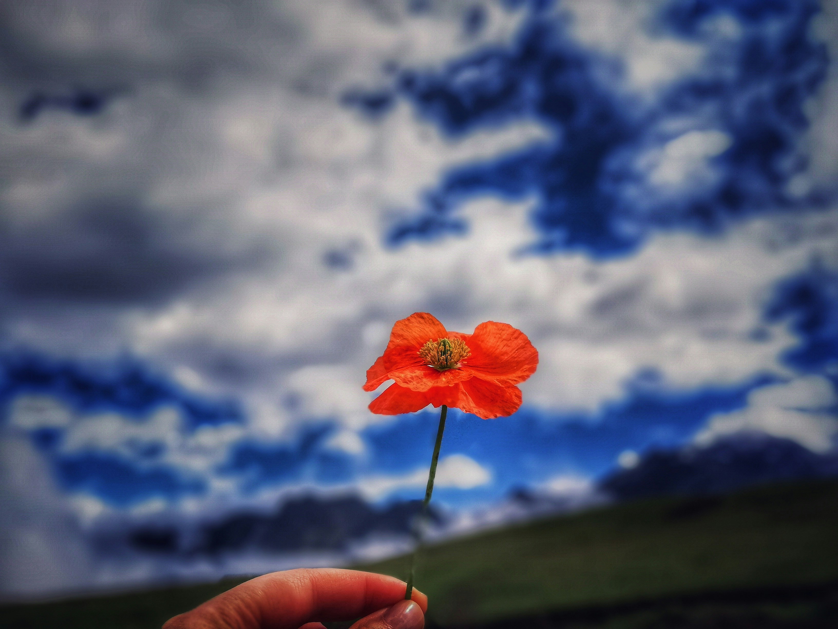 Stepantsminda, Georgia - #nature #freshair #georgia #mountain #beautifull #amazing #green #horse #blue #home #relax #flower #sky