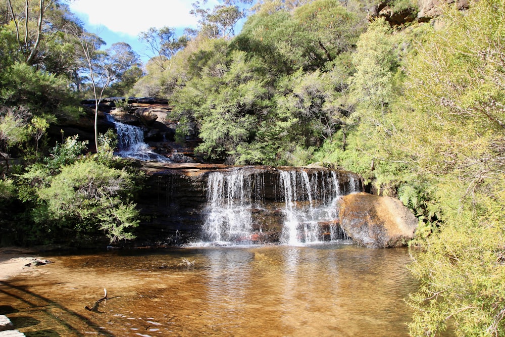 trees and waterfalls during daytime