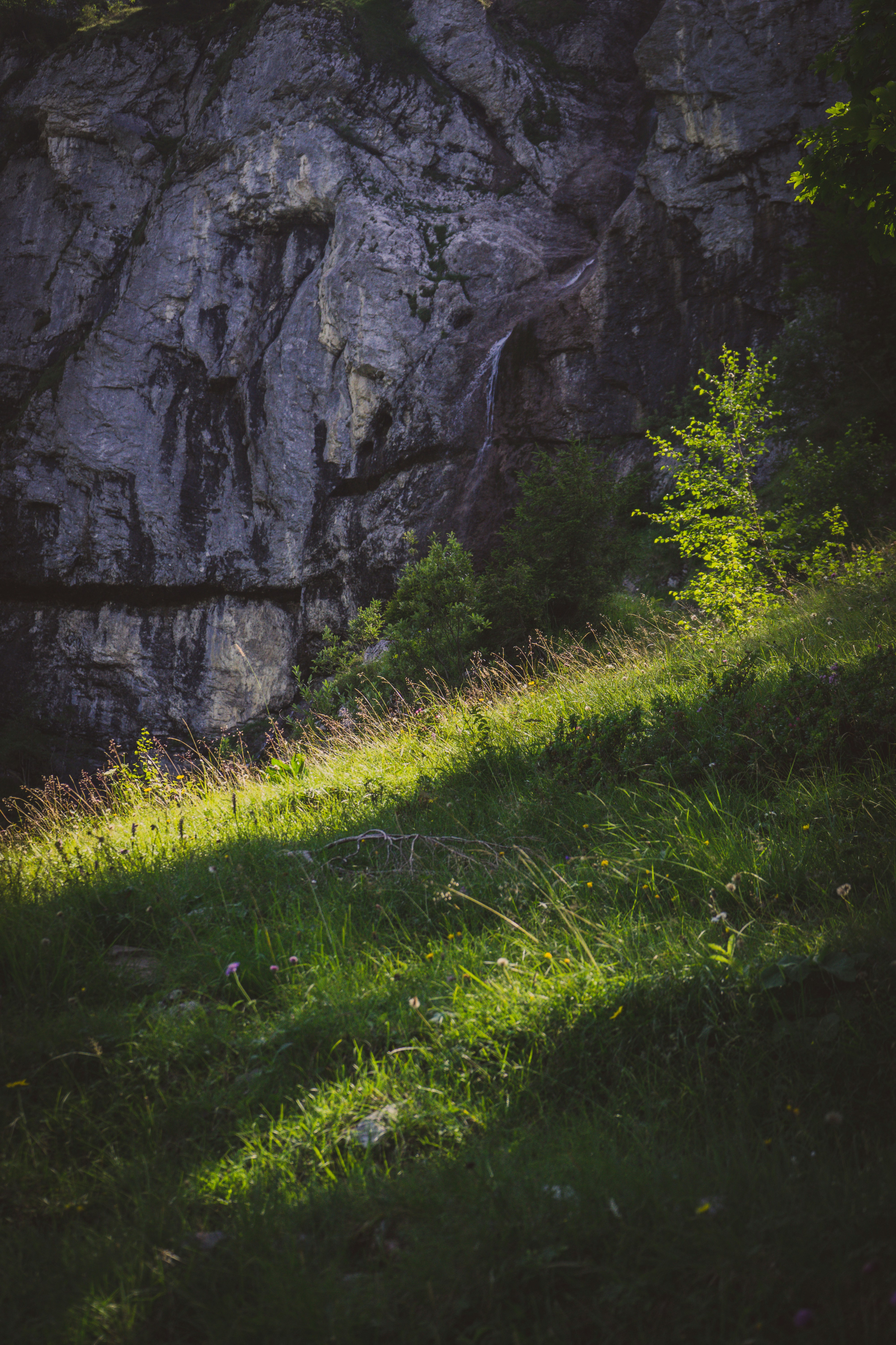 Photo by theverticalstory