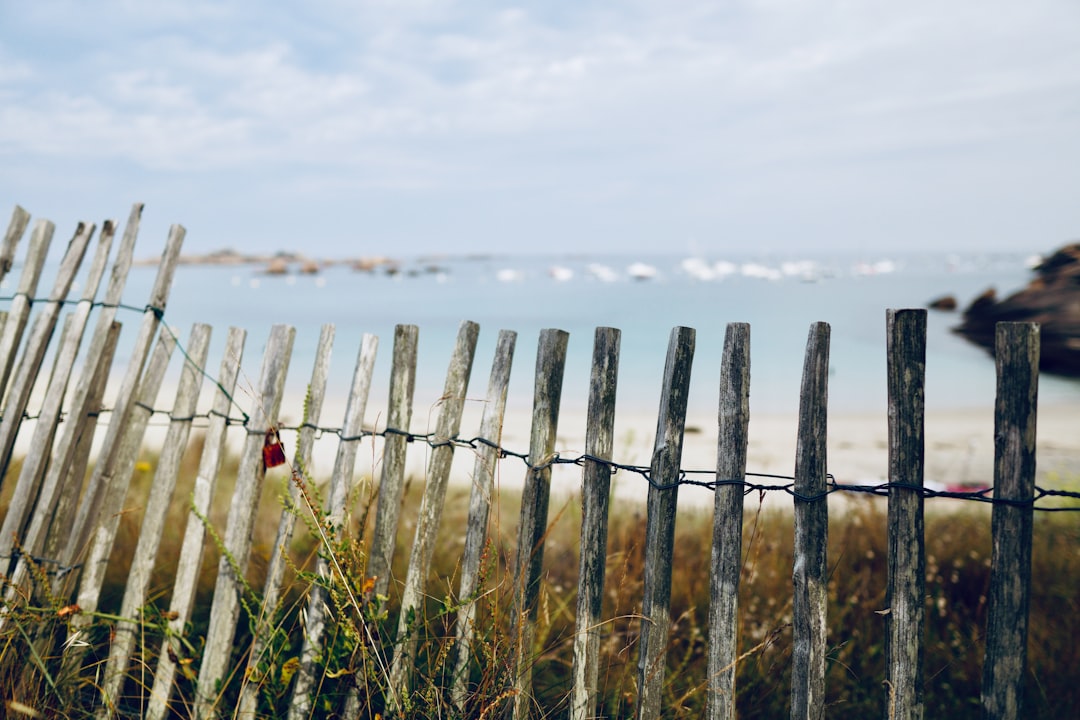 fence near sea