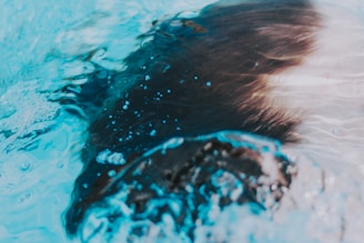 Water flows dynamically over a surface, creating gentle ripples and bubbles. The surface beneath the water appears dark and textured, possibly suggesting movement or depth.