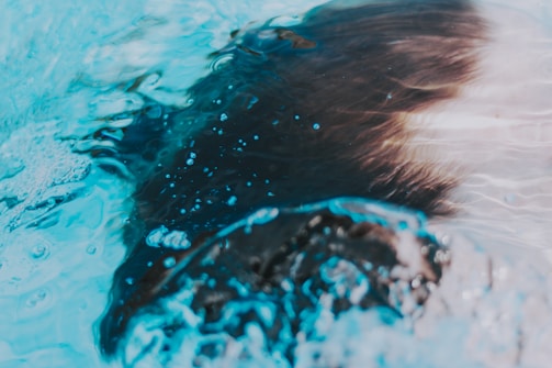 Water flows dynamically over a surface, creating gentle ripples and bubbles. The surface beneath the water appears dark and textured, possibly suggesting movement or depth.