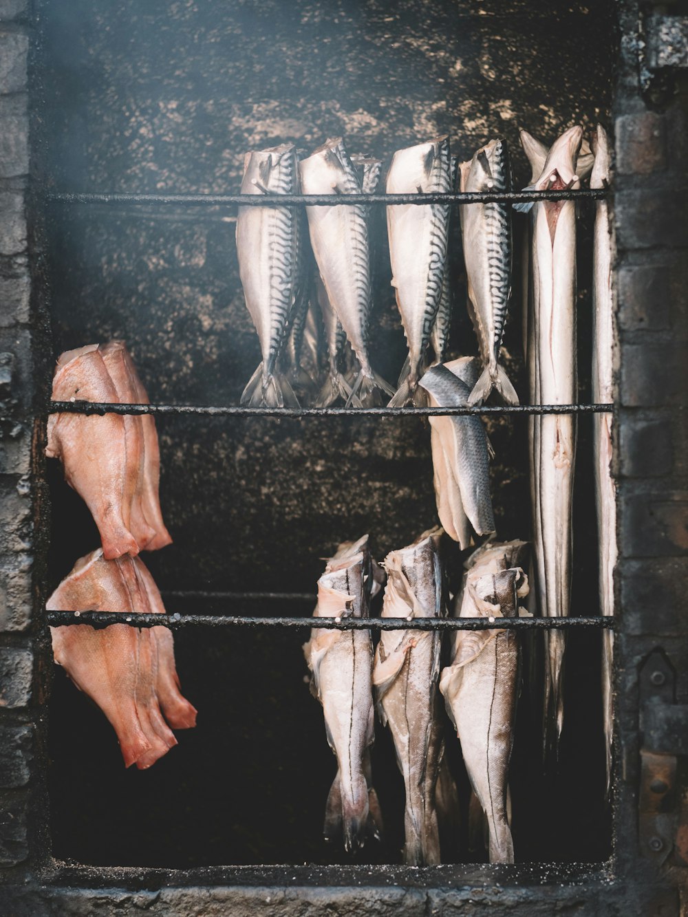 fish being grilled