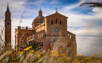 brown cathedral