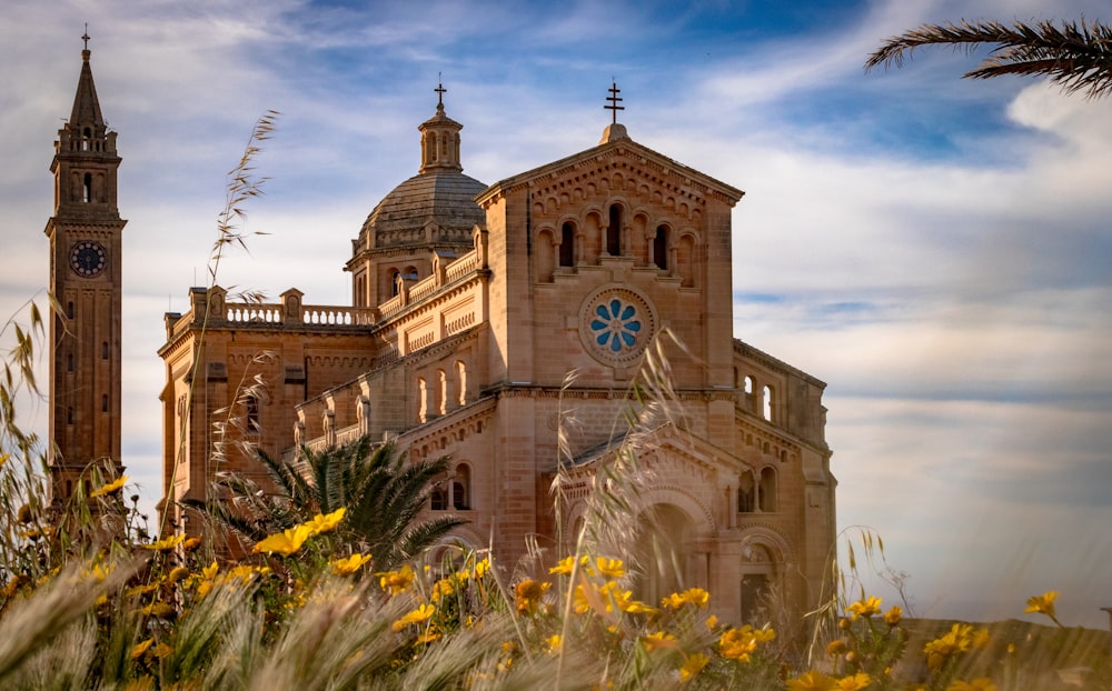 Cathédrale marron