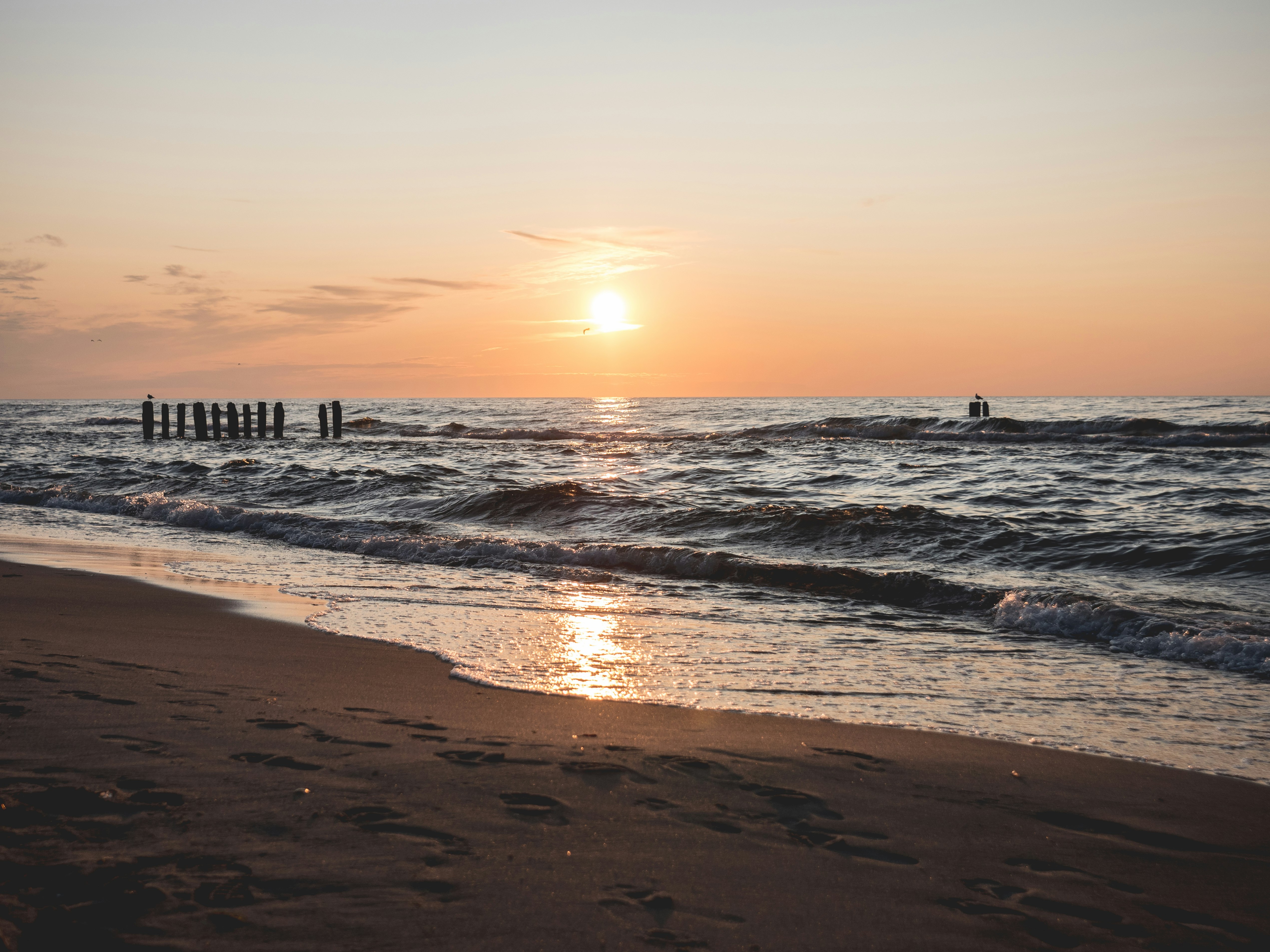 seashore during golden hour