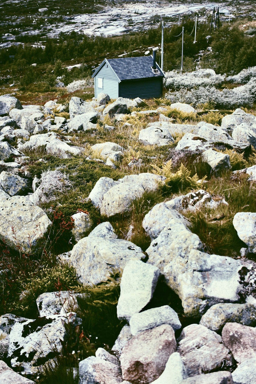 blue wooden house in rocky field