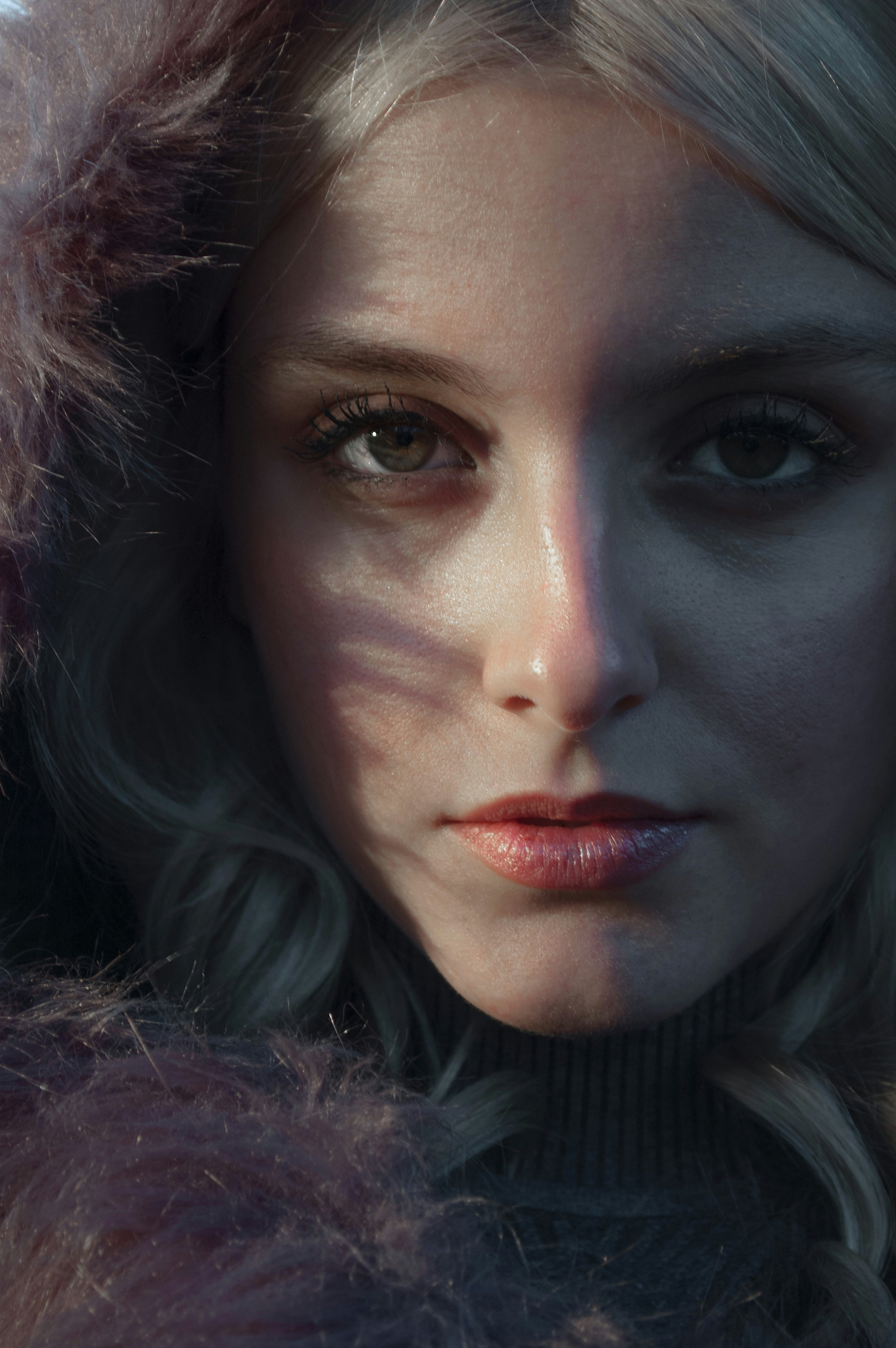 Photo by baranlotfollahi