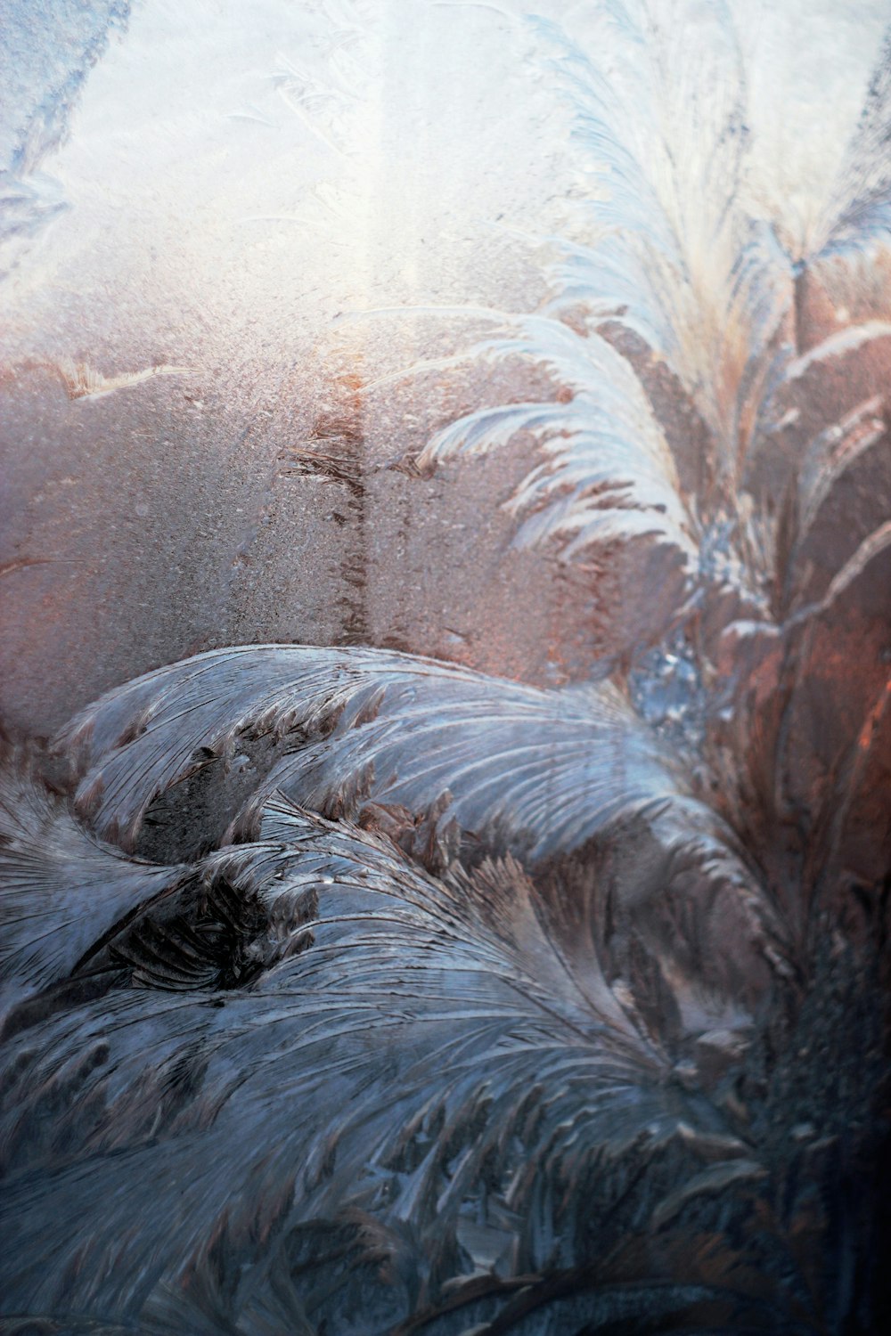 peinture à la feuille blanche