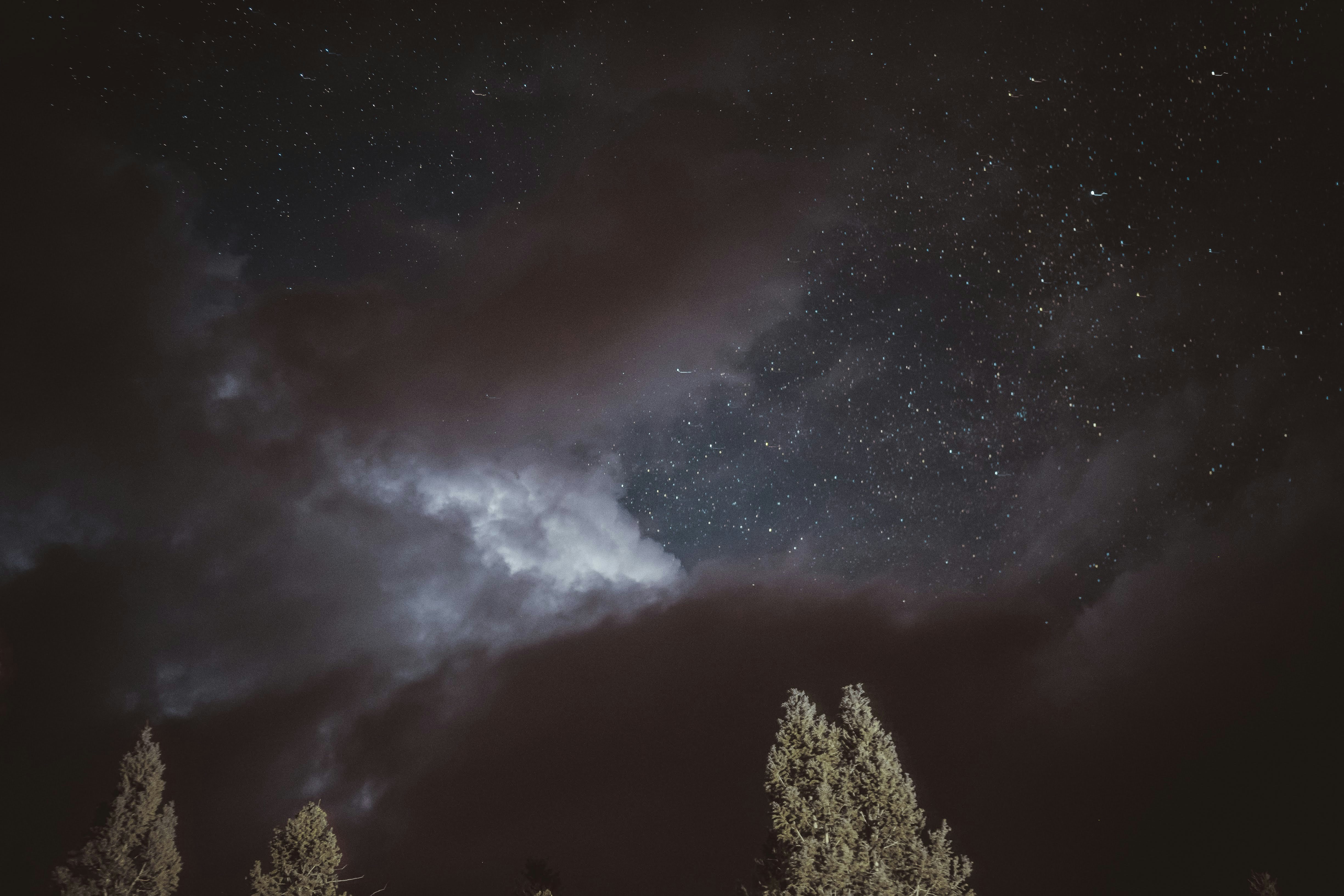 Photo by lucadpphoto