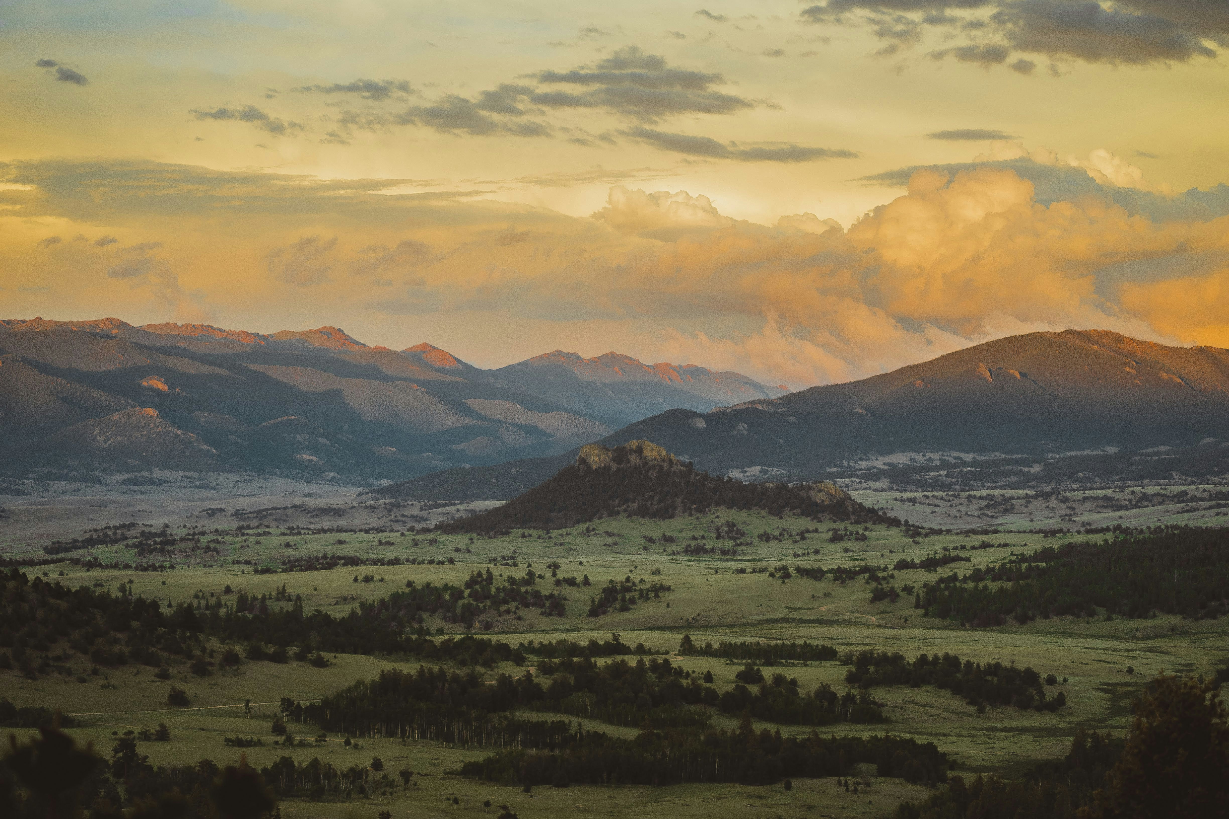 Photo by lucadpphoto