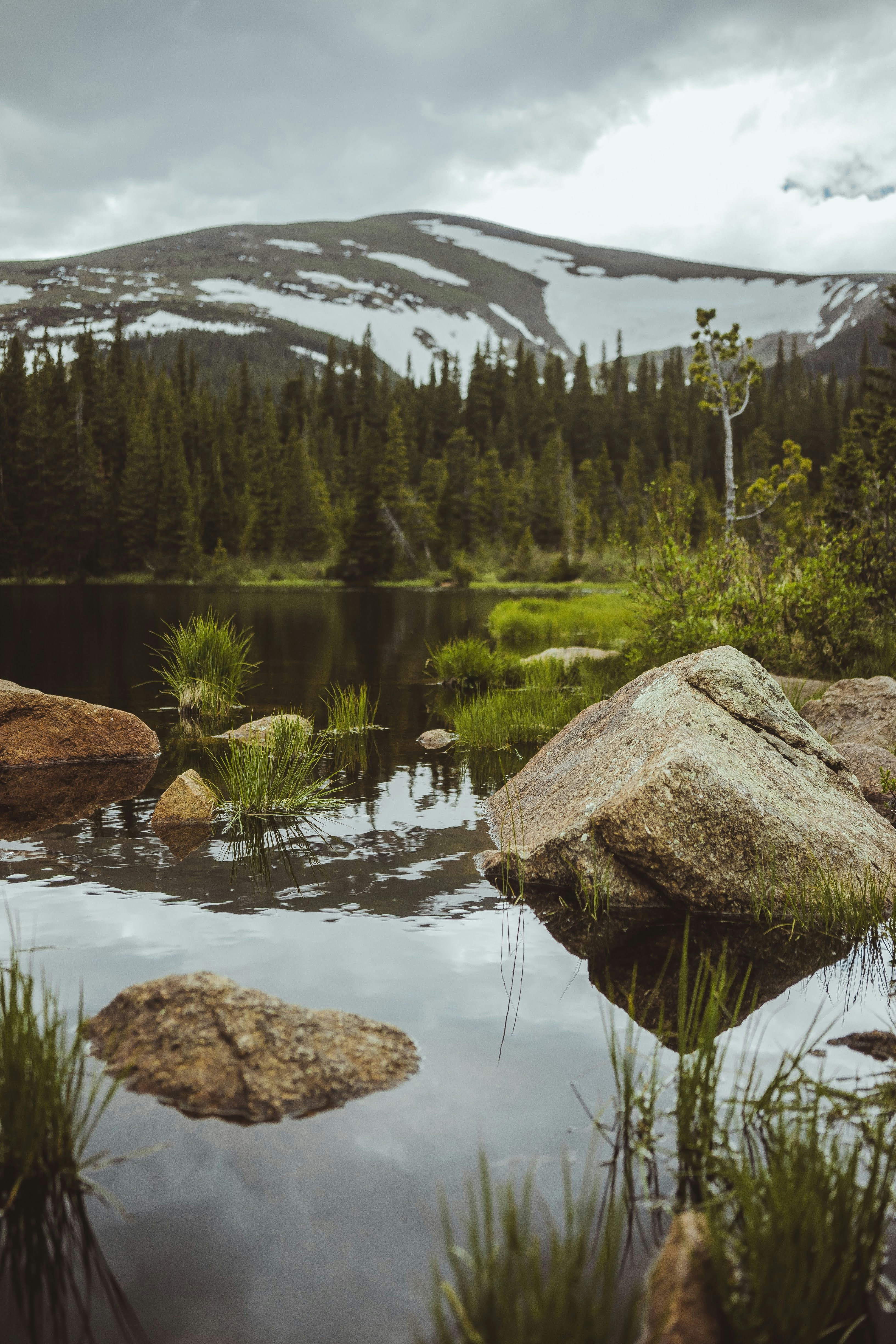 Photo by lucadpphoto