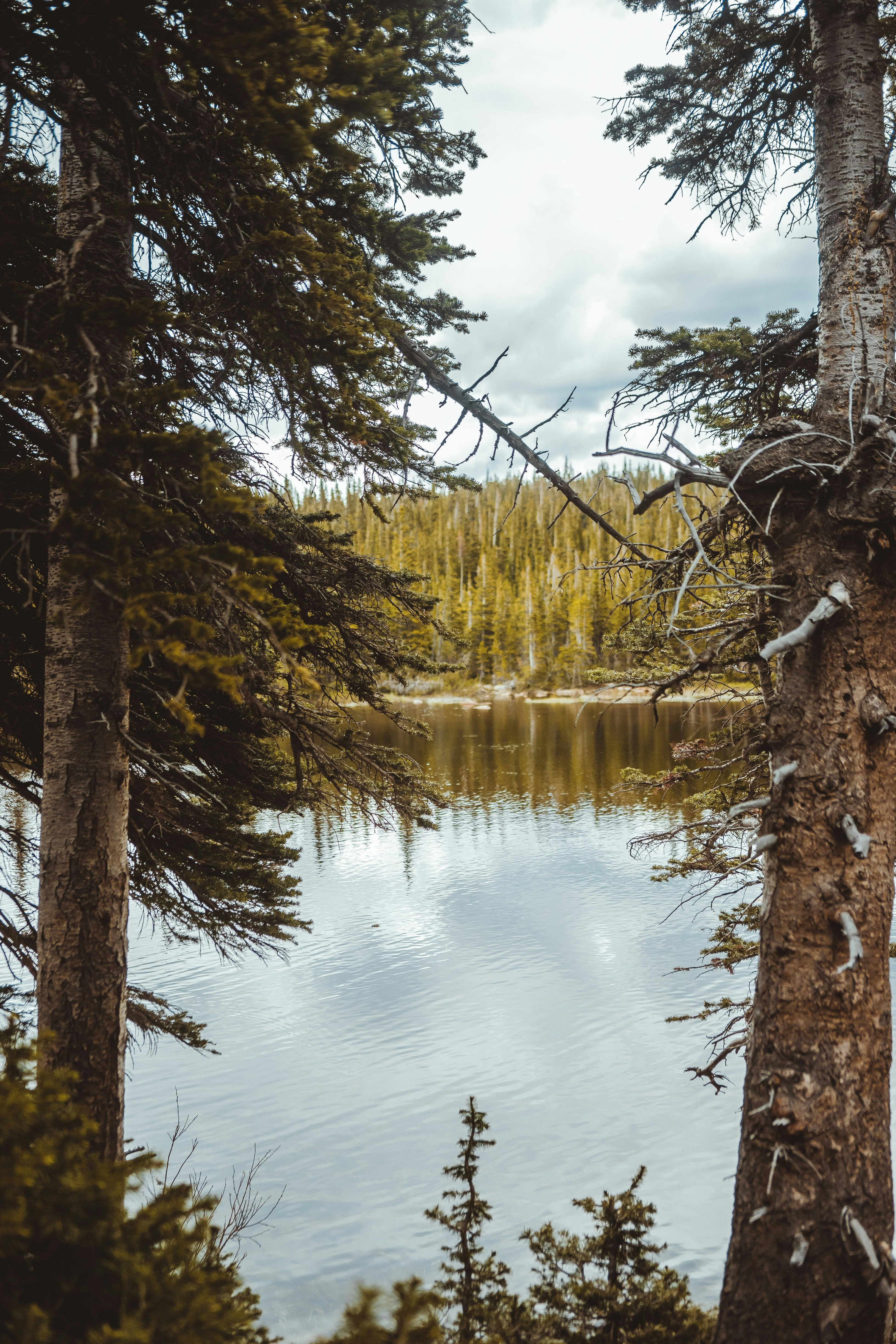 Photo by lucadpphoto