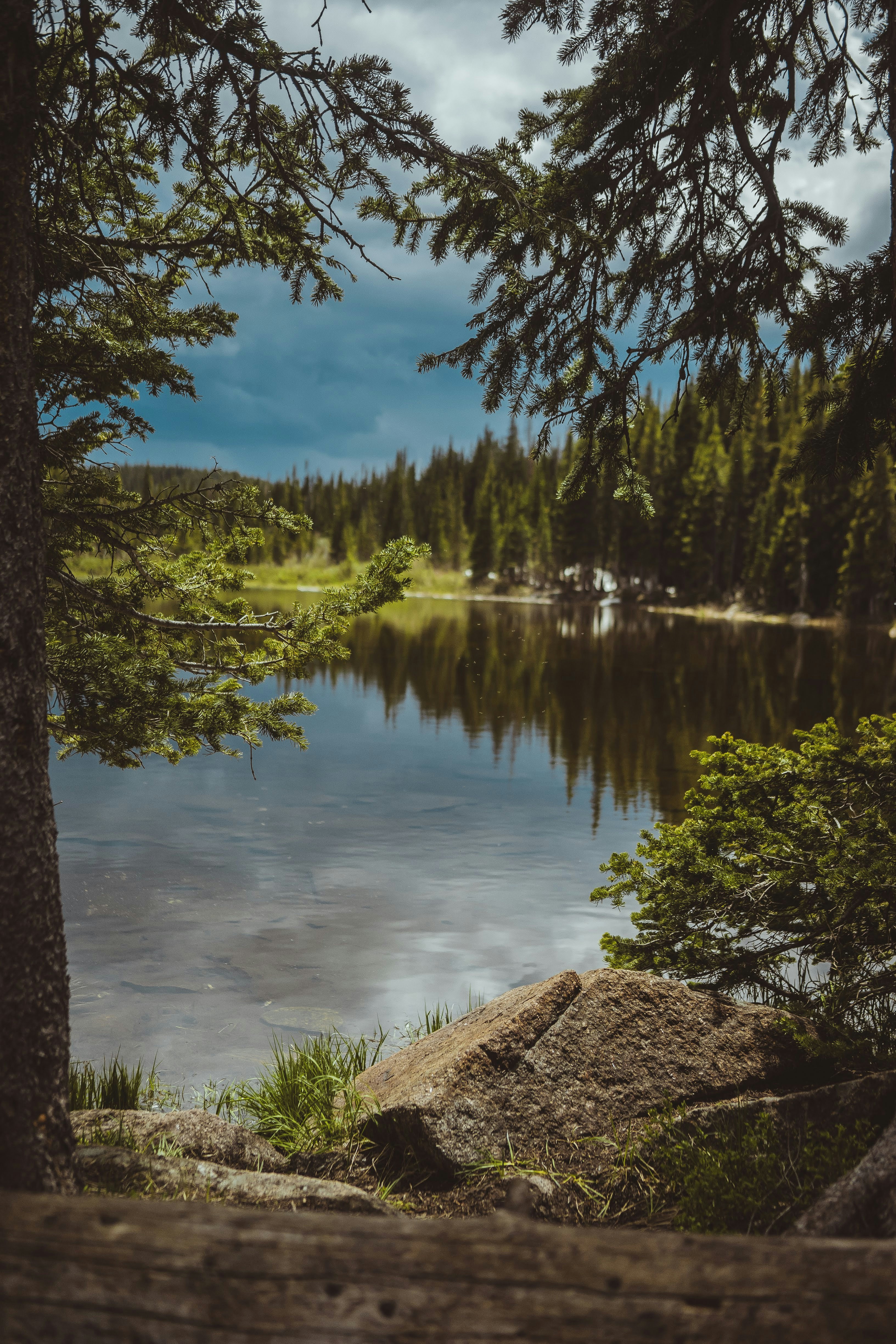 Photo by lucadpphoto