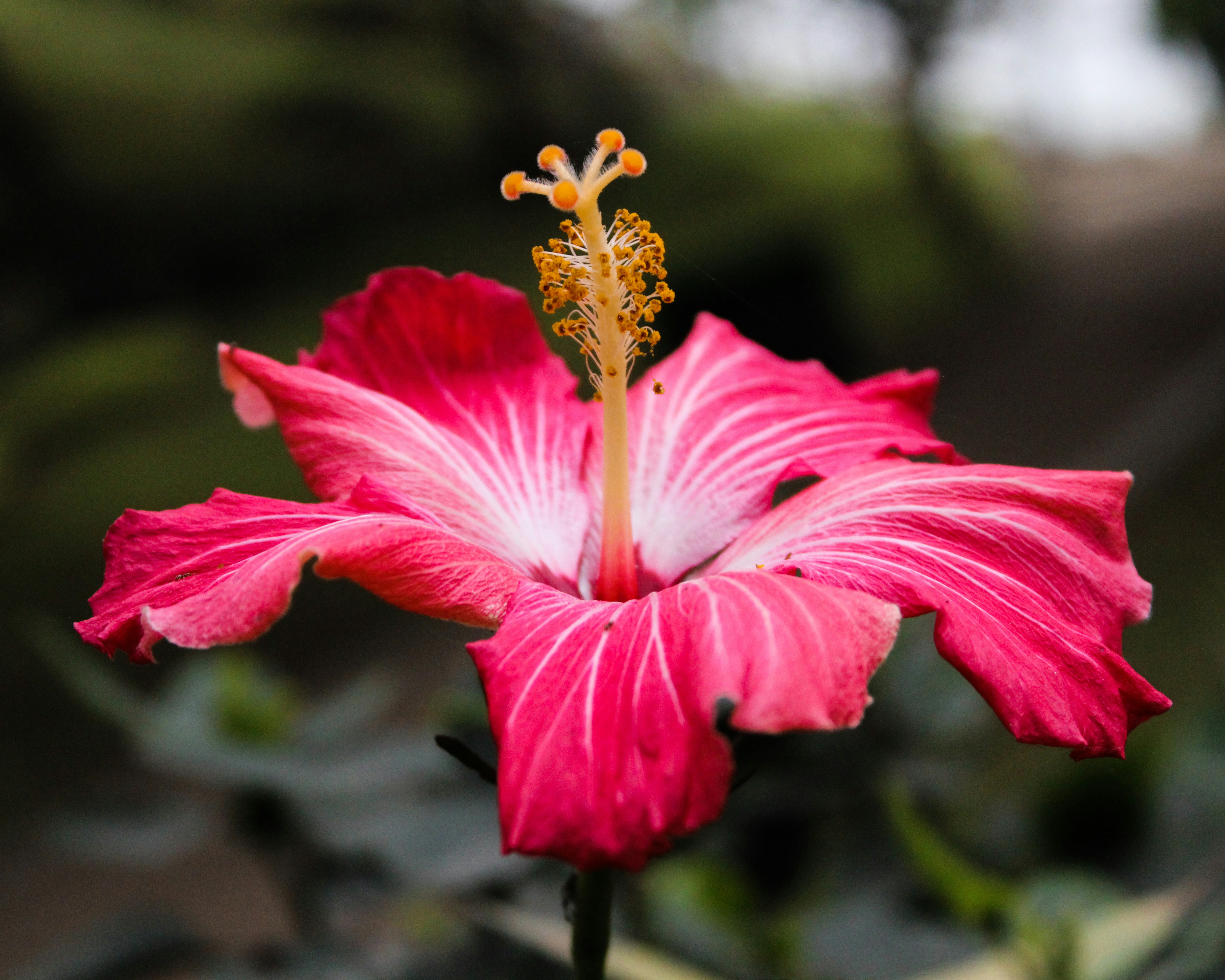 Photo by omar18andre