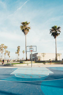 Action shot of players enjoying a sunny day on a custom-built basketball court.
