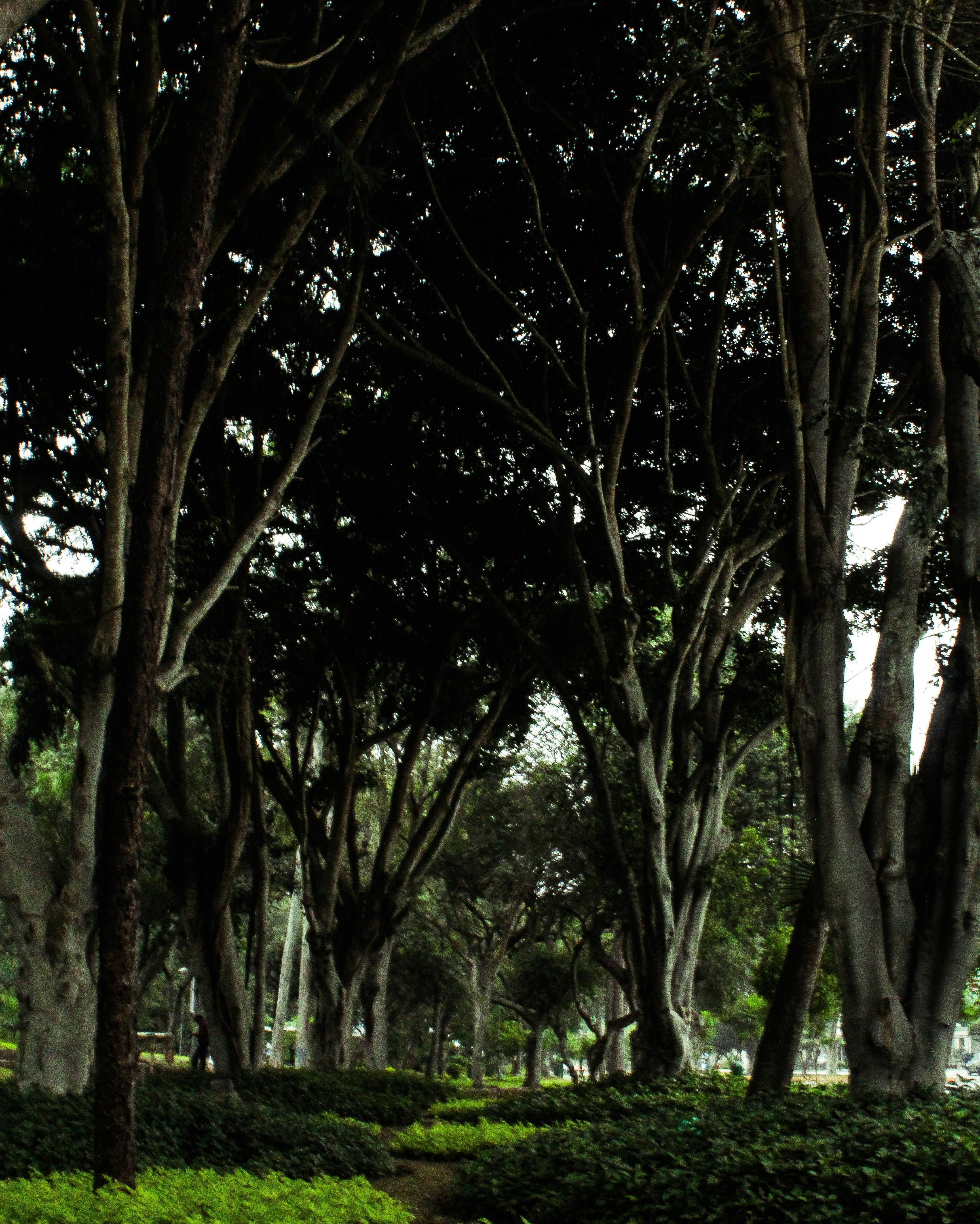 Photo by omar18andre