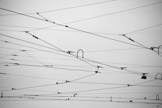 Numerous overhead electrical wires crisscross against a gray sky, creating an intricate and geometric pattern. The wires vary in thickness and tension, some having connectors and insulators attached.