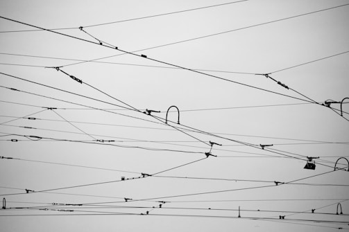Numerous overhead electrical wires crisscross against a gray sky, creating an intricate and geometric pattern. The wires vary in thickness and tension, some having connectors and insulators attached.
