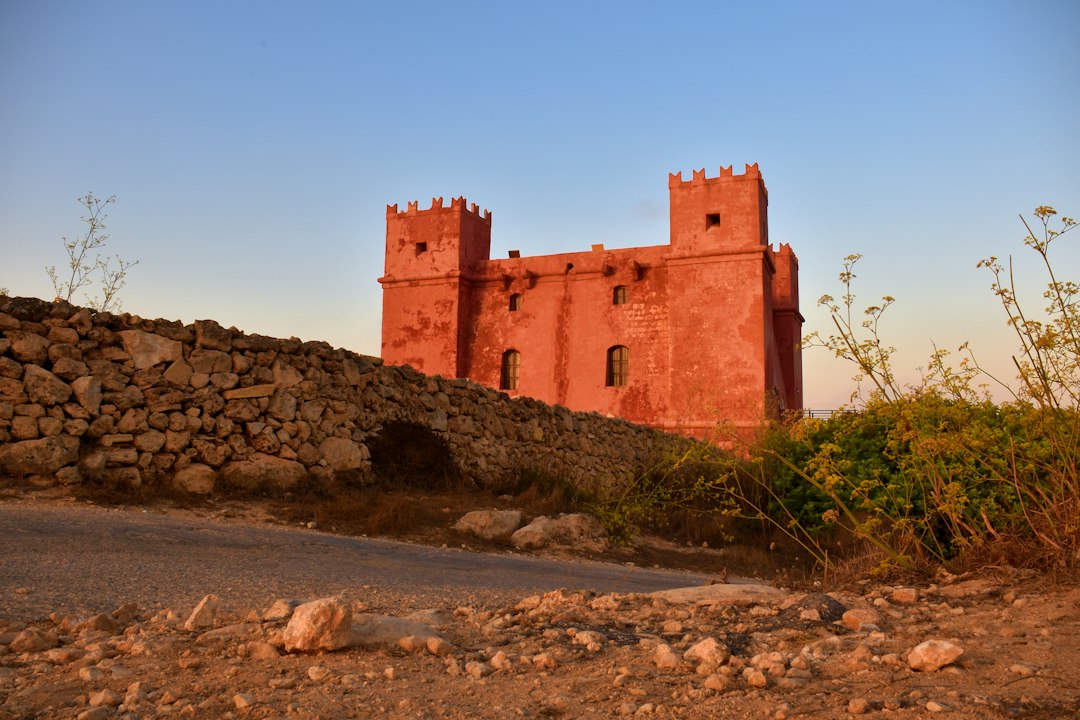 brown concrete castle view during dayitme,