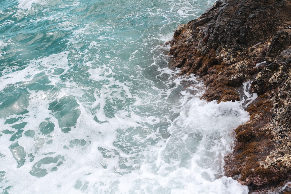 seashore during daytime