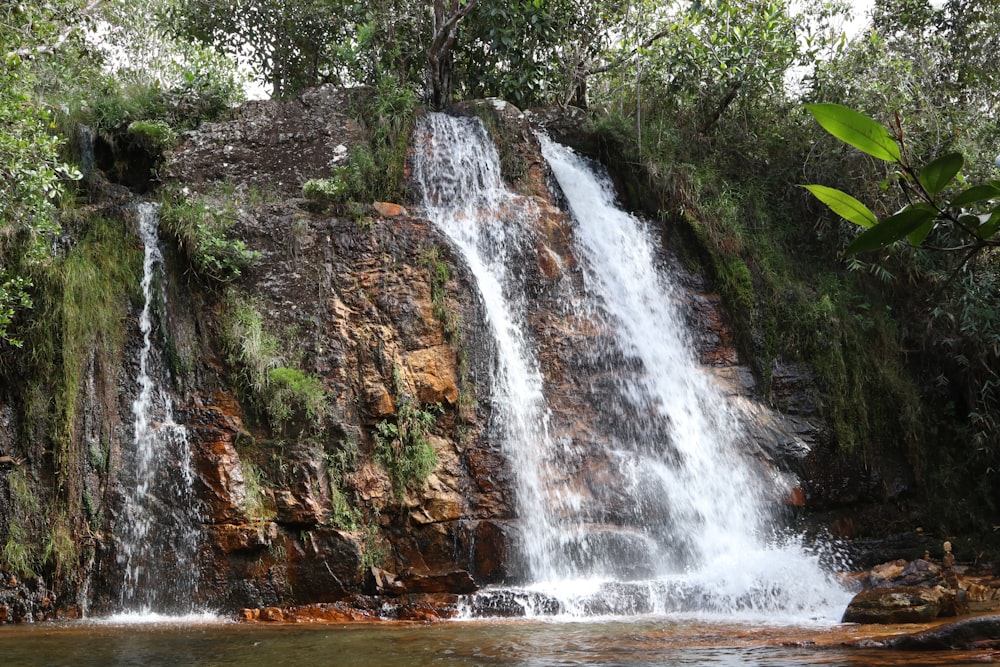 cachoeira entre árvores durante o dia