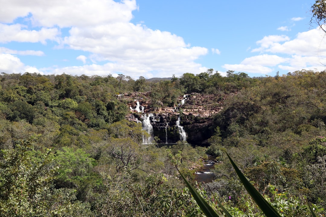 waterfall between trees under blue sky